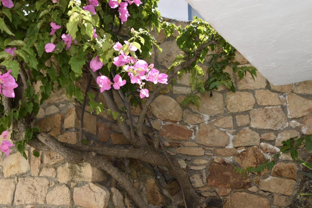 Cute Seafront Escape For 3 Patmos Town